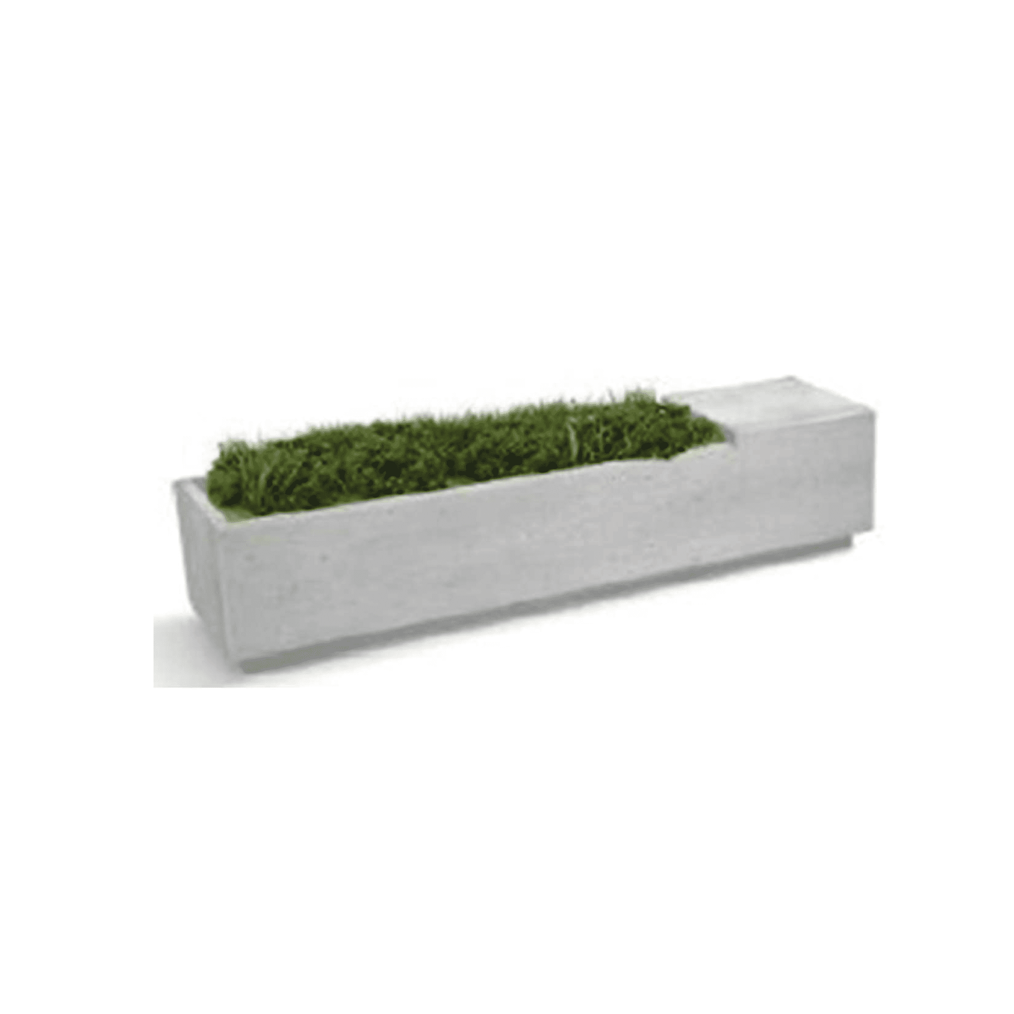 BANCA JARDINERA_1